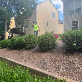 Flower Bed Weeding by Madison Lawn Care reviewed on September 21, 2024