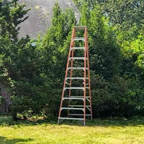 Bush Trimming by A1 America Landscaping reviewed on October 17, 2024