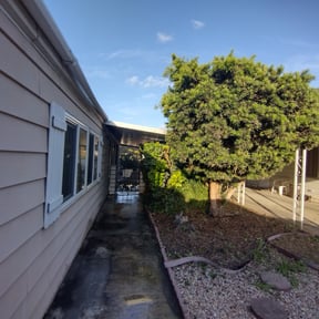 Bush Trimming by Ascension Care, LLC. reviewed on June 9, 2022