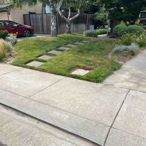 Flower Bed Weeding by Jack Catlin reviewed on February 25, 2022