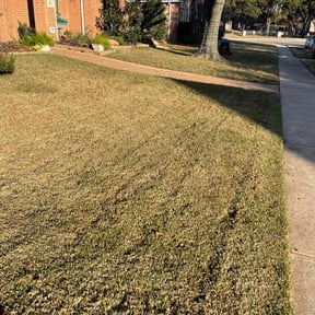 Leaf Removal by Paradise landscaping reviewed on November 5, 2021