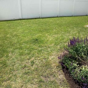 Leaf Removal by United Hands Royalty Lawn Care reviewed on June 2, 2022