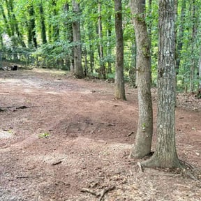 Leaf Removal by MPV Landscaping reviewed on June 28, 2022