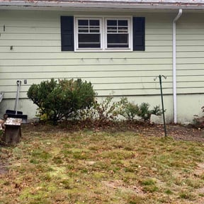 Bush Trimming by Jose Perez Landscaping reviewed on November 3, 2021