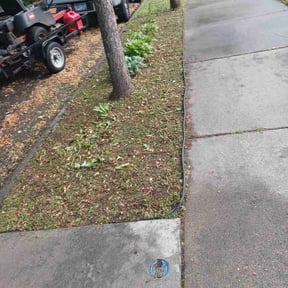 Cleanups by Hawkins Landscaping & Construction reviewed on June 29, 2022