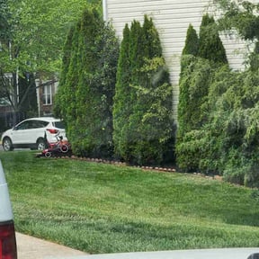 Mulching by Dreamscapes Unlimited LLC reviewed on June 10, 2020