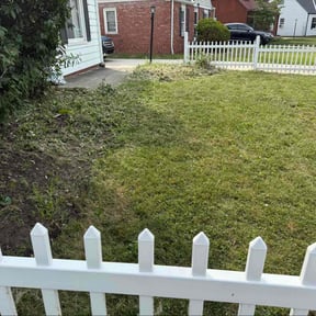Cleanups by Rays Lawn Grooming & Snow Removal LLC reviewed on June 15, 2022