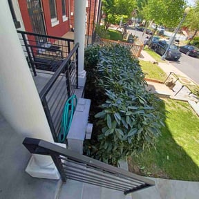 Bush Trimming by Greg's gardens reviewed on May 27, 2025