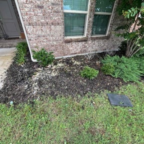 Weeding by Alie Love lawn service reviewed on September 28, 2021