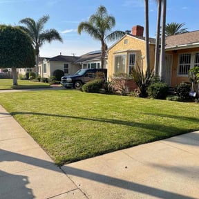 Bush Trimming by Emergency Lawn Care reviewed on June 7, 2020