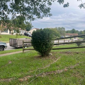 Bush Trimming by Uppercuts Lawn Care reviewed on June 26, 2022