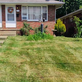 Bush Trimming by Lawn&co reviewed on August 3, 2022