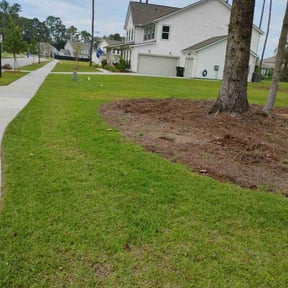 Leaf Removal by Brooks lawn Care reviewed on July 18, 2022