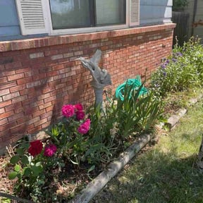 Flower Bed Weeding by Mane Hand Handyman Services LLC reviewed on November 14, 2024