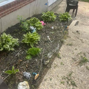 Flower Bed Weeding by Legacy Lawn Pros reviewed on October 16, 2021