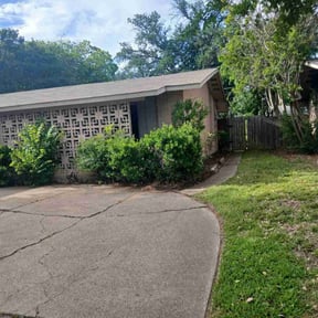 Cleanups by The lawn Guy reviewed on August 13, 2020