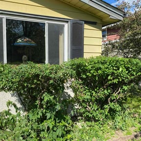 Bush Trimming by Affordable Property Maintenance and Landscaping reviewed on May 21, 2025