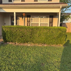 Bush Trimming by Revamp properties llc reviewed on June 27, 2022