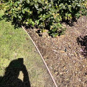 Flower Bed Weeding by Best Value Lawn Care reviewed on May 24, 2022