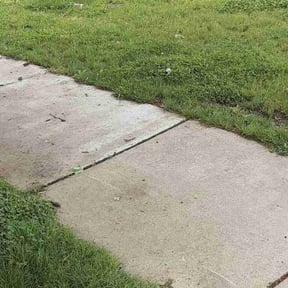 Cleanups by Orlando Miranda reviewed on June 16, 2022