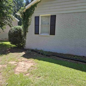 Bush Trimming by Cristopher Beltran reviewed on May 23, 2025