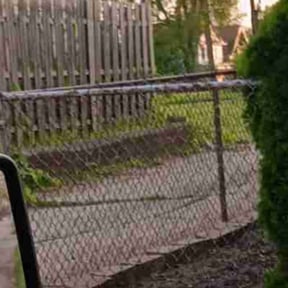 Flower Bed Weeding by First Brick Lawn Service reviewed on July 2, 2022