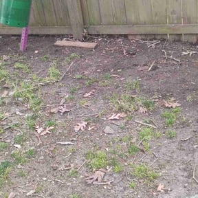 Leaf Removal by Type A Lawn Guy reviewed on July 8, 2025