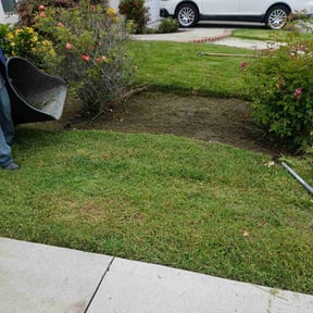 Flower Bed Weeding by Little Flower Home Service reviewed on June 22, 2025