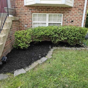Flower Bed Weeding by Tri Stars landscaping and Snow Services LLC reviewed on May 29, 2022
