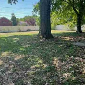 Leaf Removal by Mowing and landscaping reviewed on April 25, 2025
