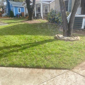 Leaf Removal by Creative Lawn Cuts &amp; Landscaping reviewed on August 4, 2025