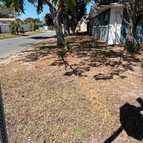 Leaf Removal by Arianne Ney reviewed on July 30, 2022