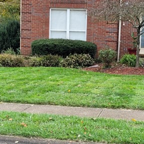 Bush Trimming by Phillips4seasons reviewed on April 25, 2025