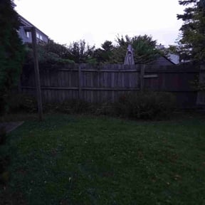 Bush Trimming by Kingsmen Landscaping reviewed on June 28, 2025