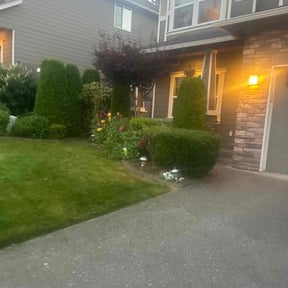 Bush Trimming by A1 landscaping reviewed on July 1, 2025