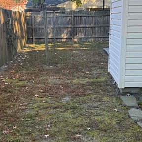 Leaf Removal by Active Lawn Care & Landscapes reviewed on April 19, 2025