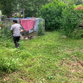 Cleanups by MTB lawn care reviewed on May 19, 2022