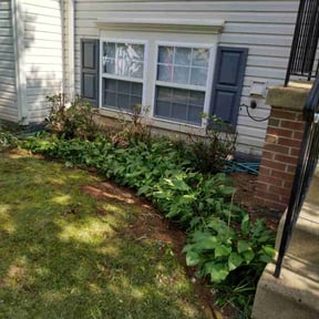 Bush Trimming by Edgar Yanez Services reviewed on July 25, 2022