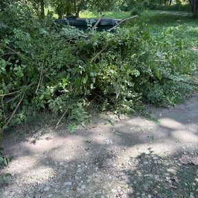 Bush Trimming by Browns Lawn Care & Landscape reviewed on July 18, 2025