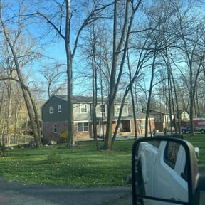 Leaf Removal by Binyard Consulting reviewed on May 9, 2025
