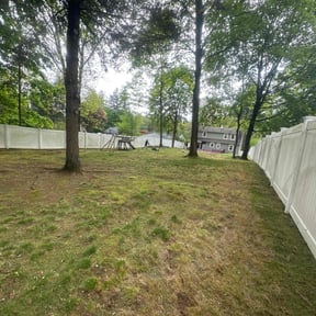 Leaf Removal by TNT landscape llc reviewed on May 16, 2022