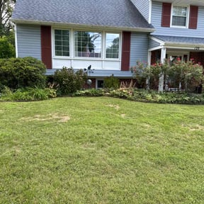 Bush Trimming by Lindsay’s lawncare reviewed on August 3, 2021