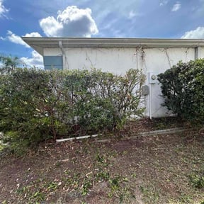 Bush Trimming by Cut Rite Lawn Service & Property Maintenance LLC reviewed on April 1, 2025