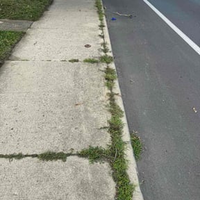 Weeding by Lie=less Lawncare& Home Improovement reviewed on July 4, 2025