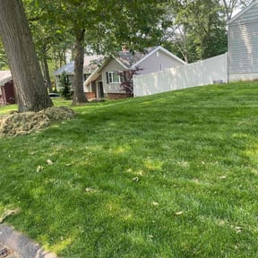 Cleanups by Precise Lawn Care reviewed on July 22, 2022