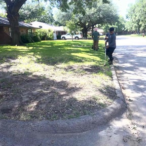 Bush Trimming by Joes lawn pros reviewed on April 22, 2025