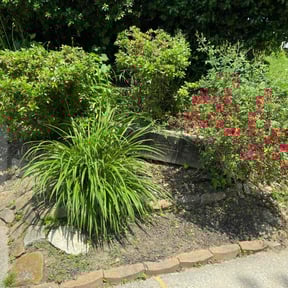 Bush Trimming by Z & H Landscaping reviewed on April 25, 2022