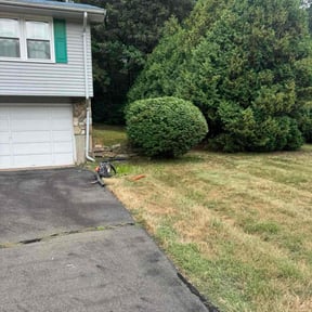 Bush Trimming by Armando’s Landscaping reviewed on July 5, 2022