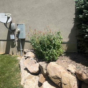 Bush Trimming by M L LANDSCAPING reviewed on April 22, 2022