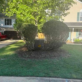 Bush Trimming by T's lawn care reviewed on April 4, 2025